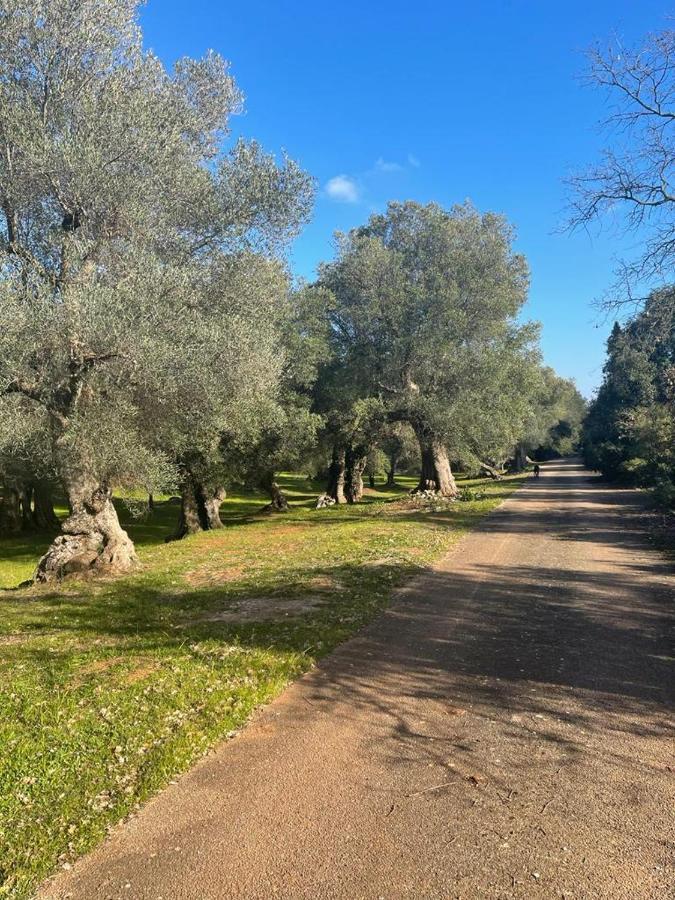 מלון צ'לייה מספיקה Da Ksenia מראה חיצוני תמונה