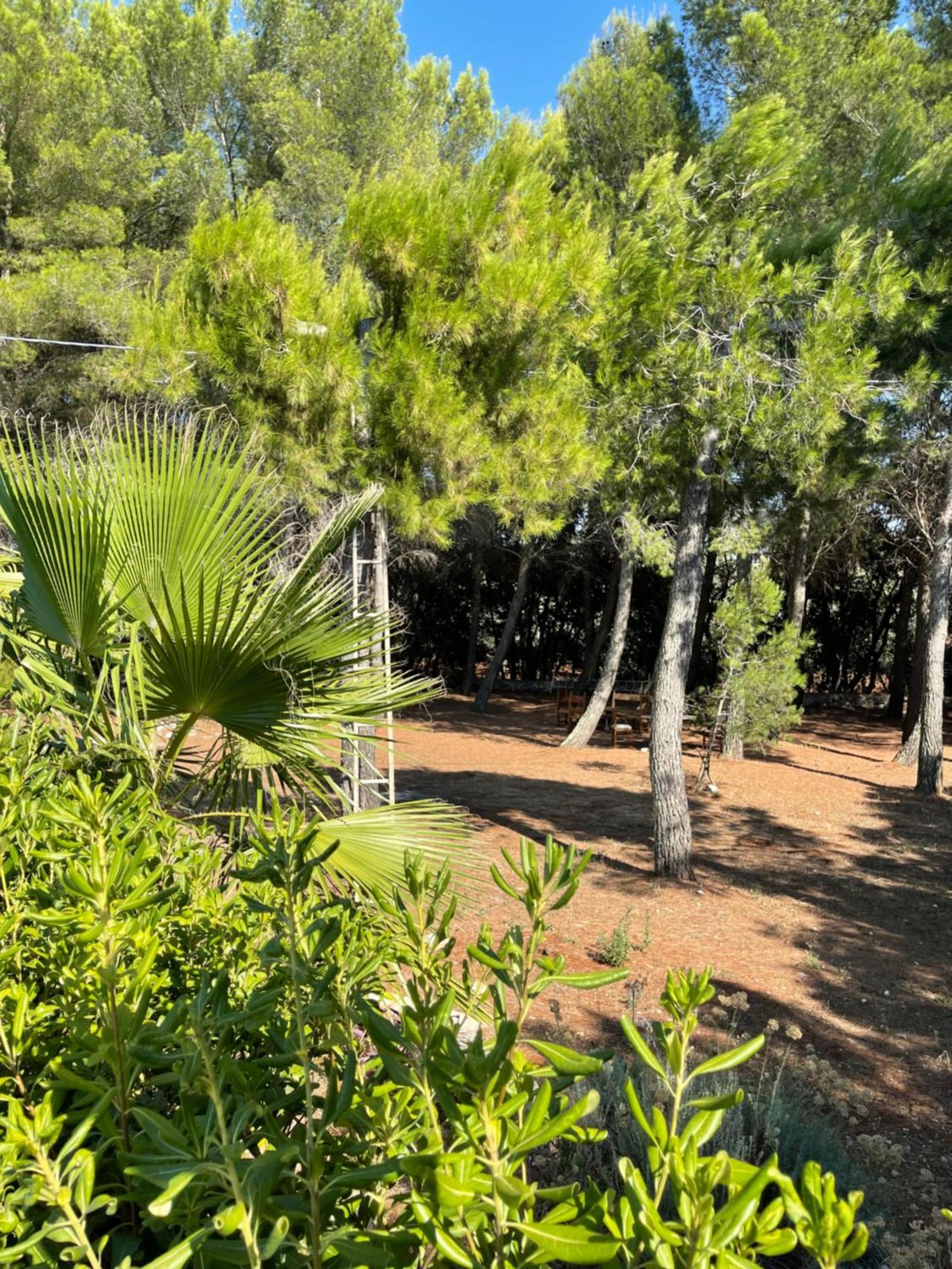 מלון צ'לייה מספיקה Da Ksenia מראה חיצוני תמונה
